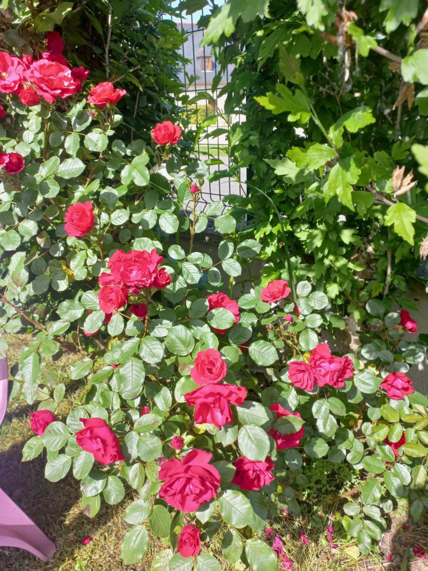 Maison Avec Jardin Ade Ngoại thất bức ảnh